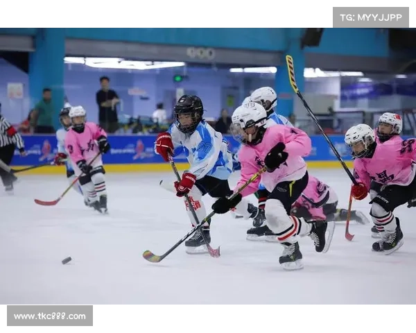 香港冰球赛事(香港冰球赛事直播)